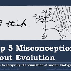 It Took Studying 25782500 Kids To Begin >> Biology Teaching Materials Pearltrees It Took Studying 25782500 Kids To Begin >> Biology Teaching Materials Pearltrees